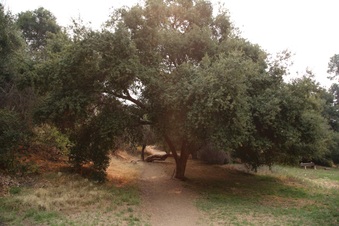 Enlarge photo 60