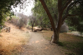 Enlarge photo 61
