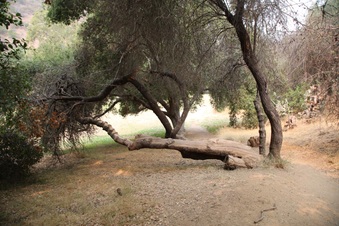 Enlarge photo 63