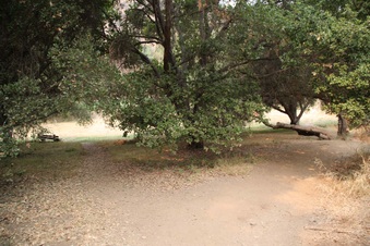 Enlarge photo 64