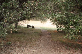 Enlarge photo 65