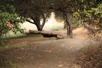 Enlarge photo 66