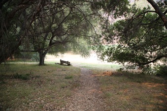 Enlarge photo 67