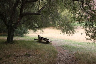 Enlarge photo 68