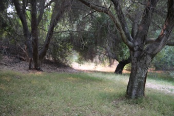 Enlarge photo 69