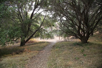 Enlarge photo 70