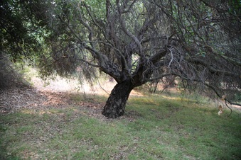 Enlarge photo 71