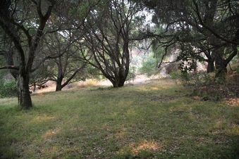 Enlarge photo 72