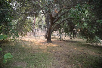 Enlarge photo 73