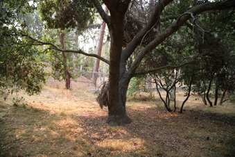 Enlarge photo 74