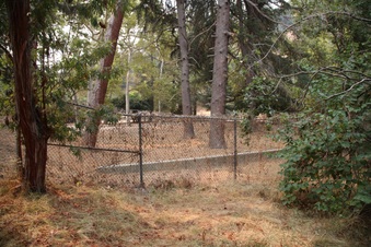 Enlarge photo 75