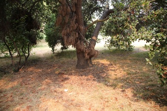 Enlarge photo 76
