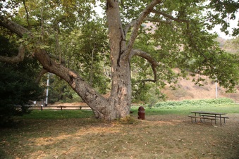 Enlarge photo 77