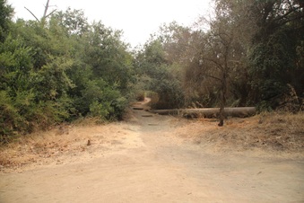 Enlarge photo 3