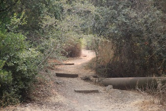 Enlarge photo 4