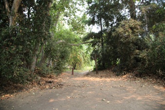 Enlarge photo 5