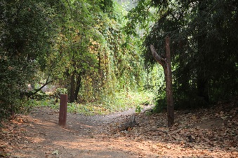 Enlarge photo 6