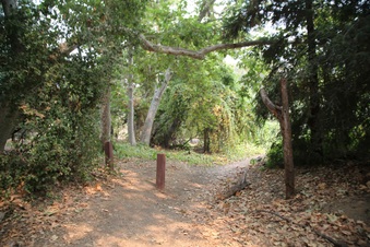 Enlarge photo 7
