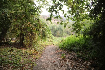 Enlarge photo 8