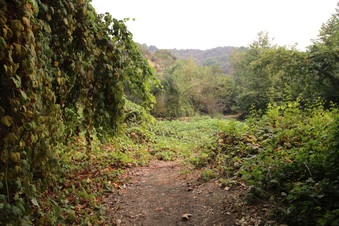 Enlarge photo 9