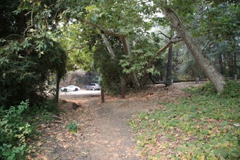 Enlarge photo 10