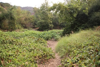 Enlarge photo 11