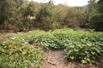 Enlarge photo 12