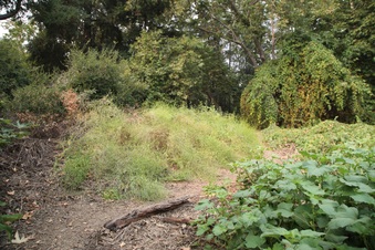 Enlarge photo 13