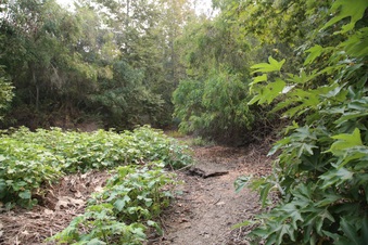Enlarge photo 14