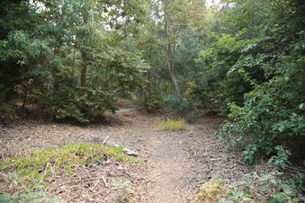 Enlarge photo 15
