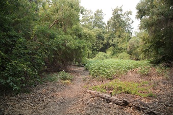Enlarge photo 16