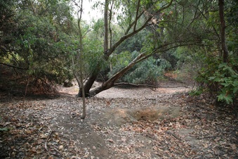 Enlarge photo 17
