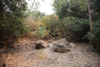 Enlarge photo 18