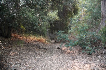 Enlarge photo 19