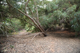 Enlarge photo 20