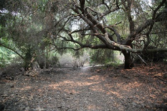 Enlarge photo 21