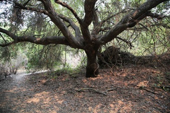 Enlarge photo 22