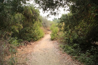 Enlarge photo 23