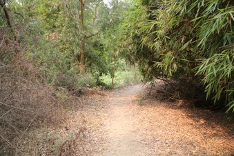 Enlarge photo 24
