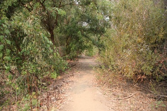 Enlarge photo 25