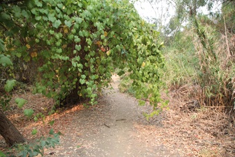Enlarge photo 26