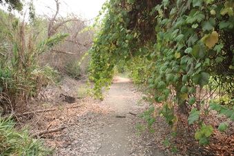 Enlarge photo 27