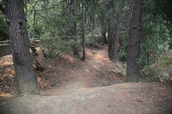 Enlarge photo 29