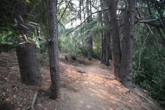 Enlarge photo 30