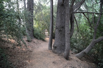 Enlarge photo 31