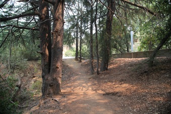 Enlarge photo 32