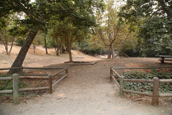 Enlarge photo 36