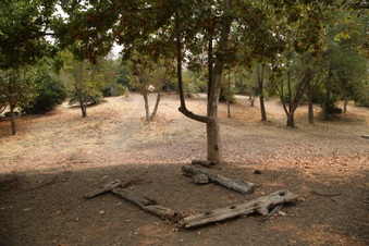 Enlarge photo 38