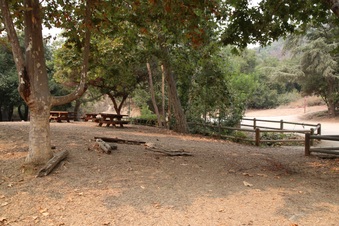 Enlarge photo 39