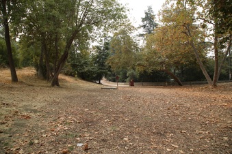 Enlarge photo 40
